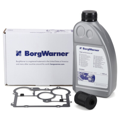 BORGWARNER Ölfilter für Haldexkupplung + 850ml Getriebeöl für OPEL INSIGNIA A B