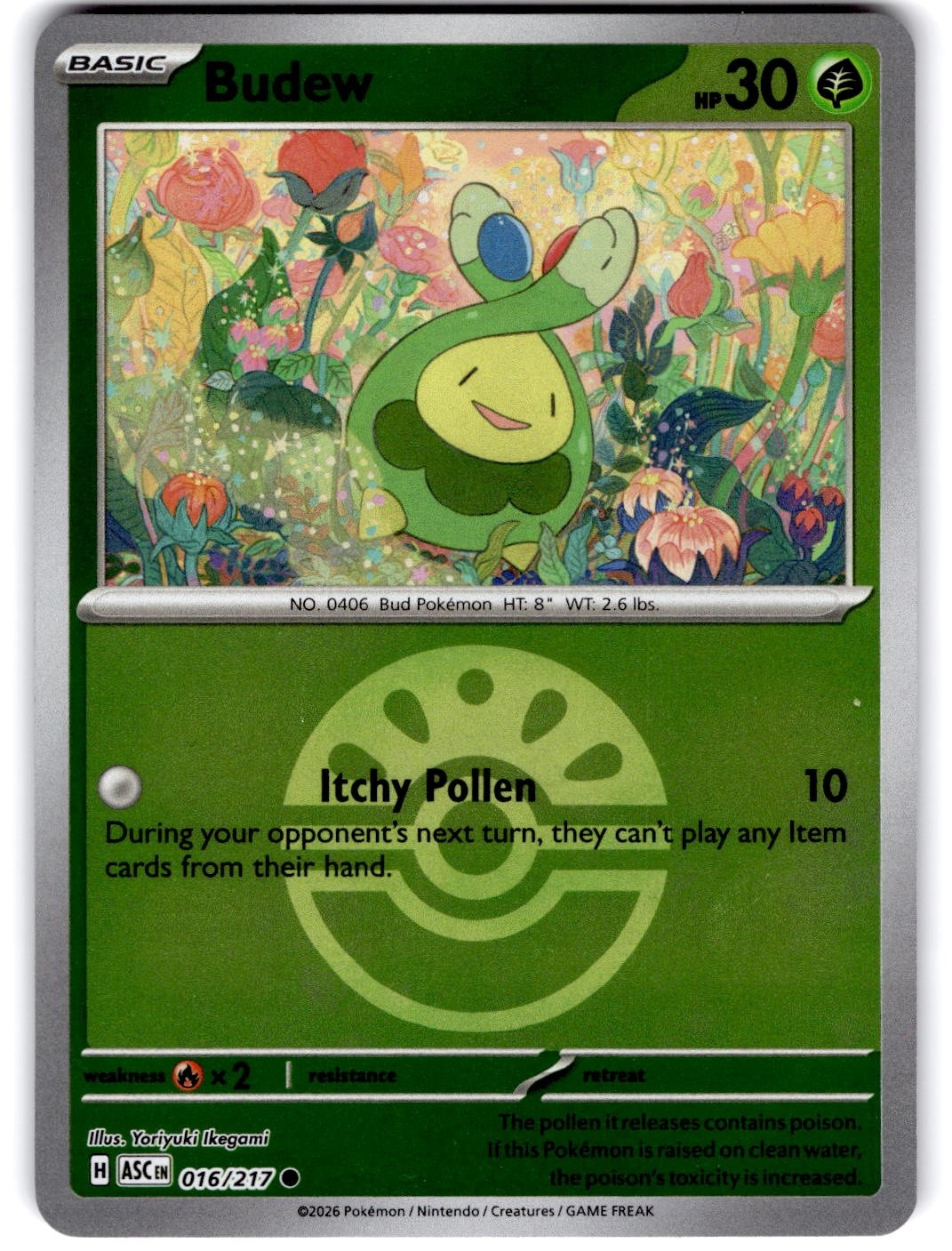 Pokemon Budew Ascended Heroes 16/217 Pokeball Holo Near Mint English