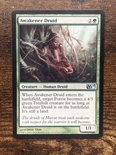 Awakener Druid 2011 M11 163/249 MTG Magic The Gathering D9493*