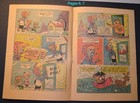 Foto 9 di 17