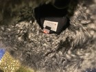 Foto 11 di 12