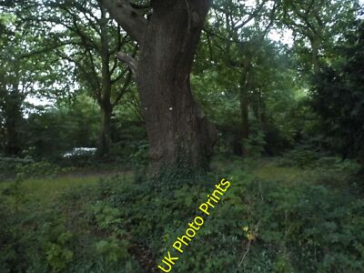 Photo 6x4 Chislehurst Common  c2015