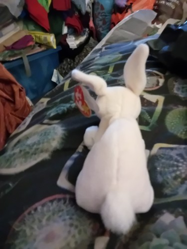 Ty Beanie Babys Knabberer der Hase, kleines Plüschtier, mit Etikett - Bild 3 von 8