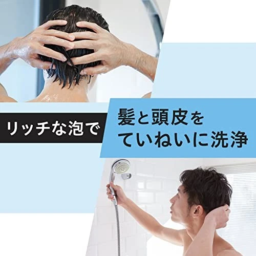 Recarga de champú GATSBY Perfect para hombre cuidado del cuero cabelludo cuidado de daños Foto 3 de 4