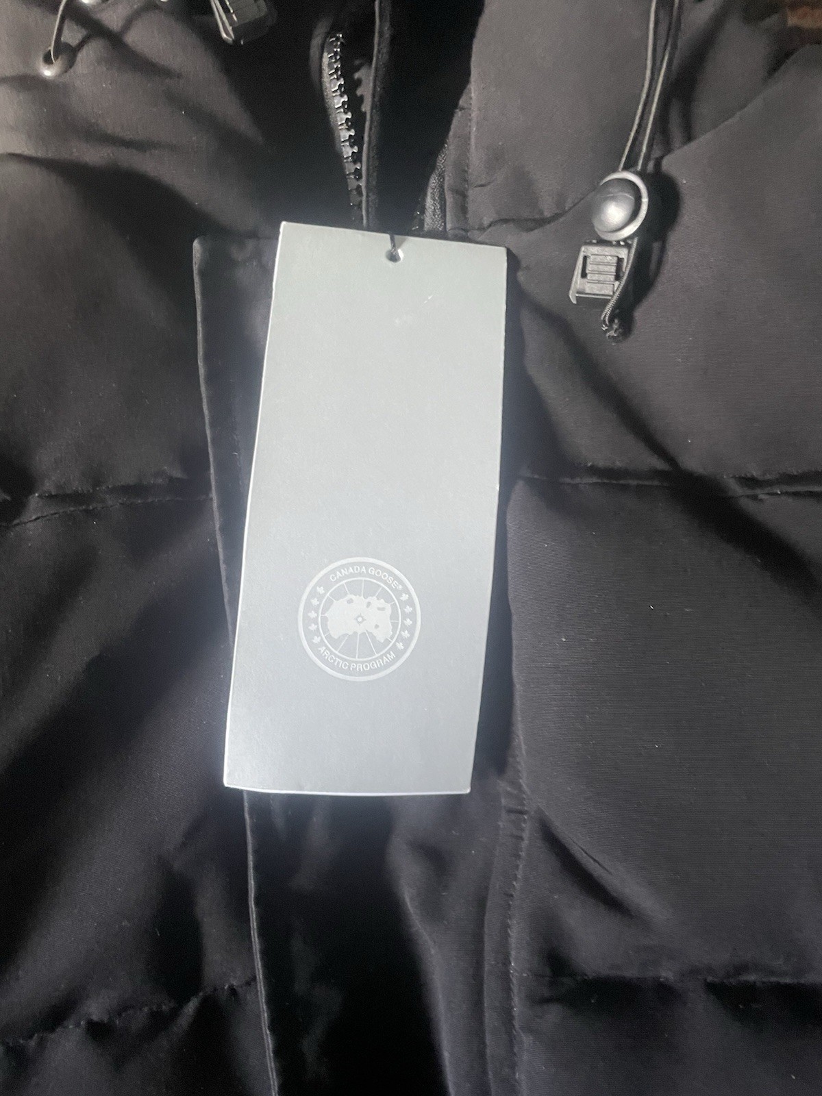 Canada Goose Men's MacMillan Parka, Size L image 3