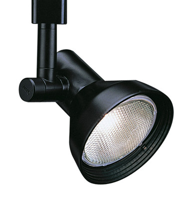 WAC Lighting H-Track Head, 730 Collection, Black, PAR30 Bulb (HTK-730-BK)