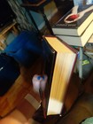 Bild 13 von 20