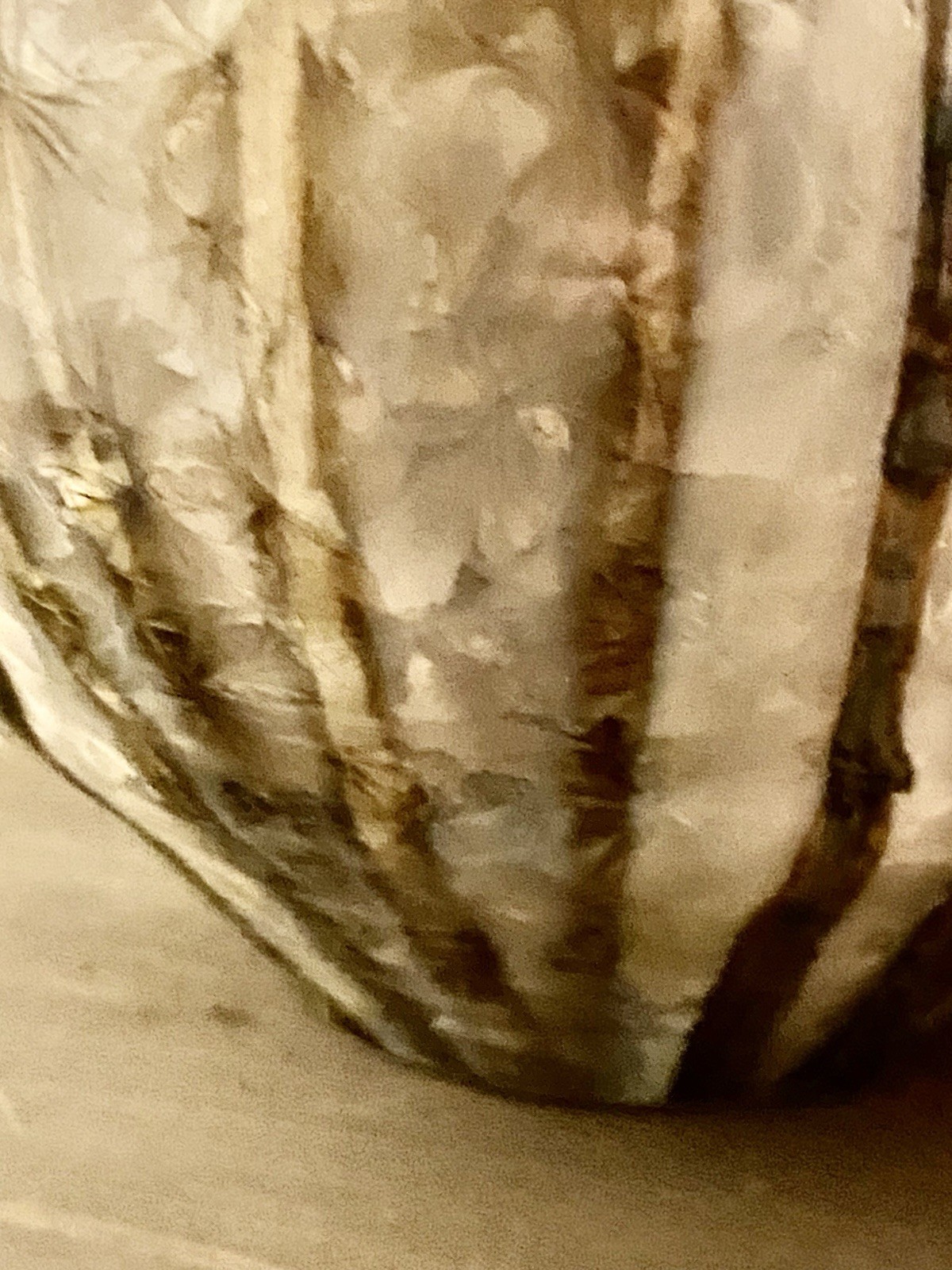 Picture 21 of 22