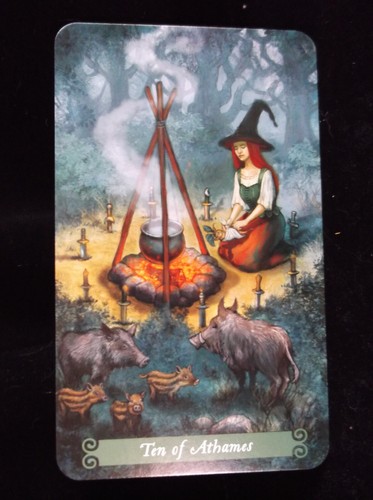 SEALED NEW ~ GREEN WITCH TAROT CARDS & BOOK SET ELEMENTALS FARIES & SPIRITS - Foto 10 di 12