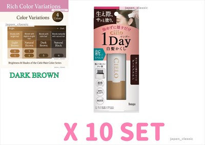HOYU CIELO ONE DAY GRAY HAIR TOUCH-UP DARK BROWN TEMPORARY ROOT CONCEALER X 10