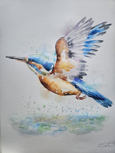 Original watercolour painting signed by Elle Smith Art of A Kingfisher bird, - Picture 6 of 7