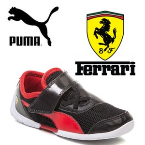 puma future cat 45