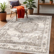 Tapis de Zone Lavable 3x5 Entrée : Tapis Doux Ultra Mince Low Pile Lavable en Machine...