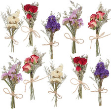 10 Pack Dried Flower Bouquets Mini Dried Flower with Stem Forget Me Not Dried Em