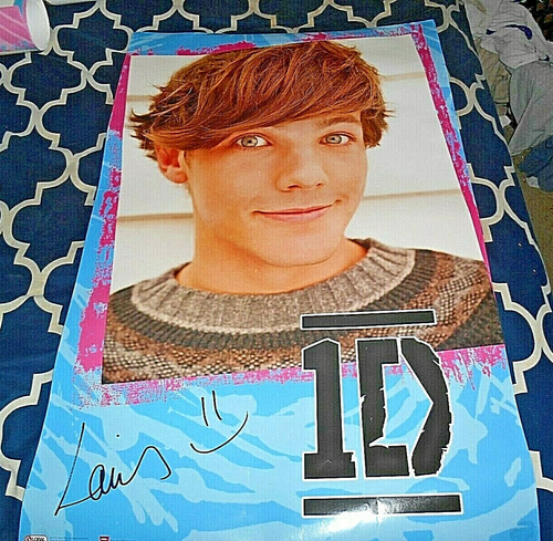 LOTE DE 4. PÓSTERS DE PARED ONE DIRECTION GLOBAL 2012 22" X 34" - Imagen 18 de 22
