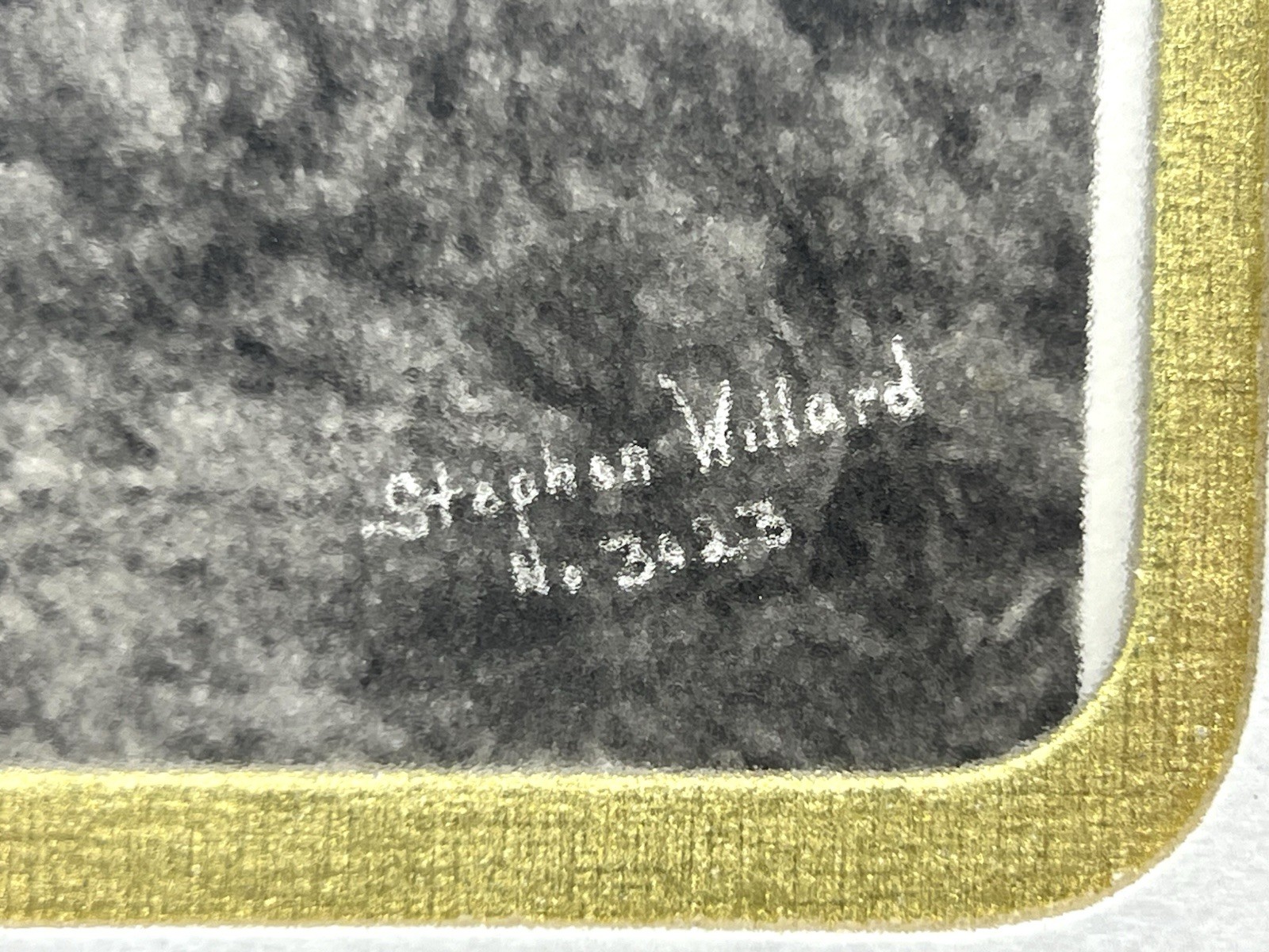 Picture 3 of 16