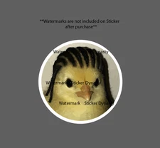 Chicken with Dreads Sticker Chick Funny Animal Humor Waterproof Decal Gift NEW