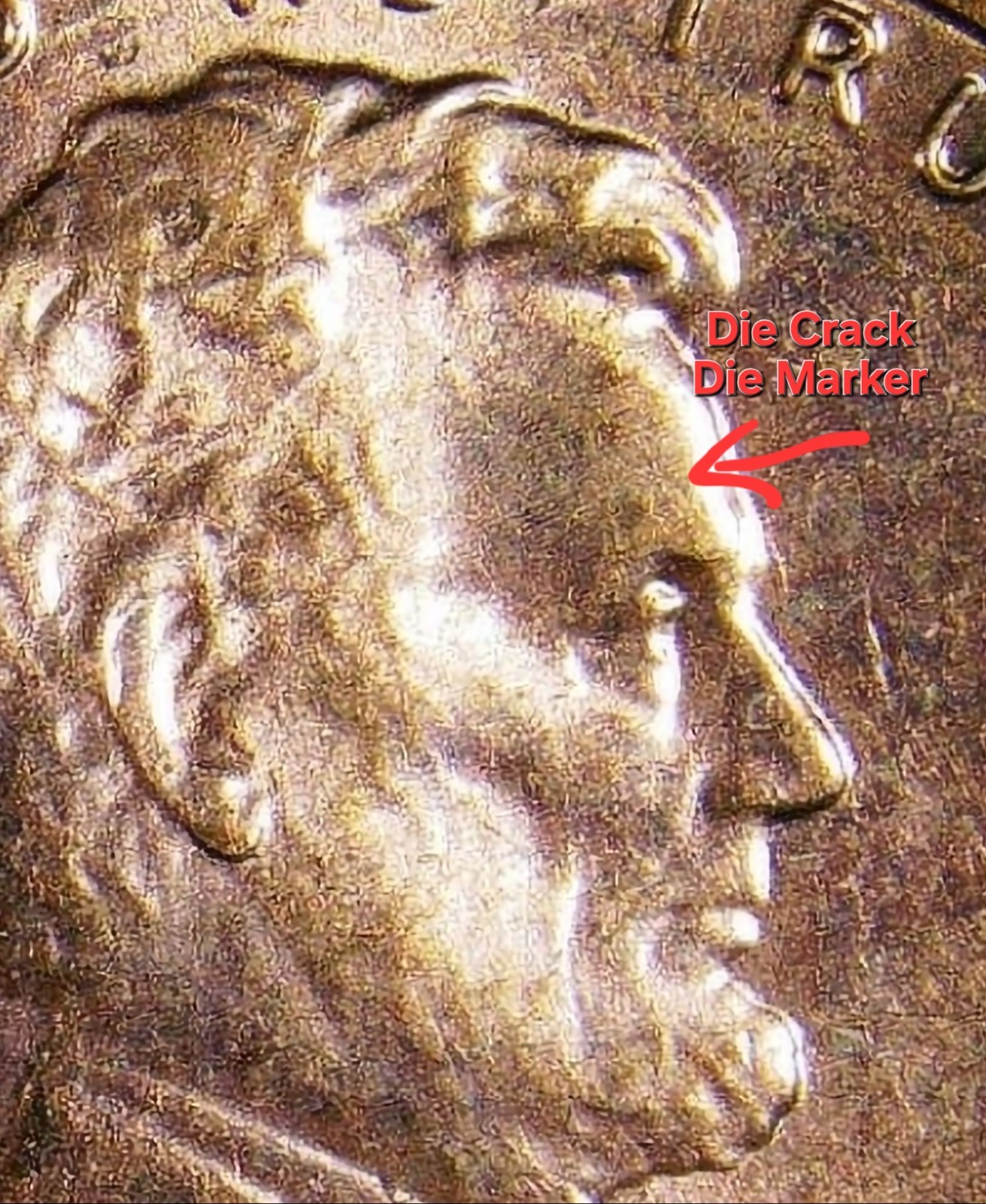 Picture 4 of 8
