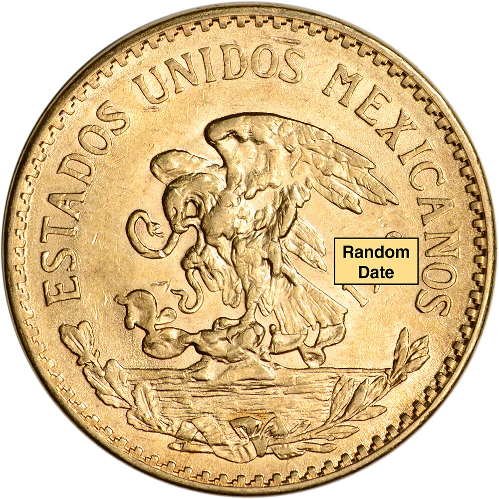 塊獣 Pachygrack PachyMX var. ICEとGOLD s-l1200.jpg