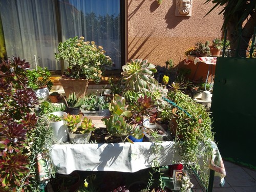 lot=collector 8piéces coquetiers divers ,porcelaine asiatique ,pate de verre etc - Picture 16 of 24