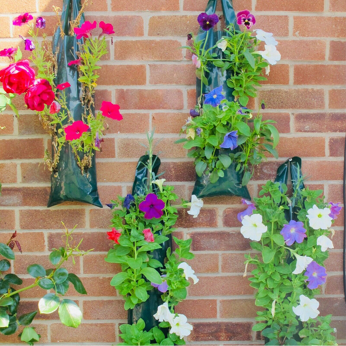 Fabric Tomato Strawberry Plants Grow Bag Hanging Planter Flower Pouch NEW eBay