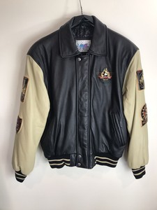 letterman disneyland