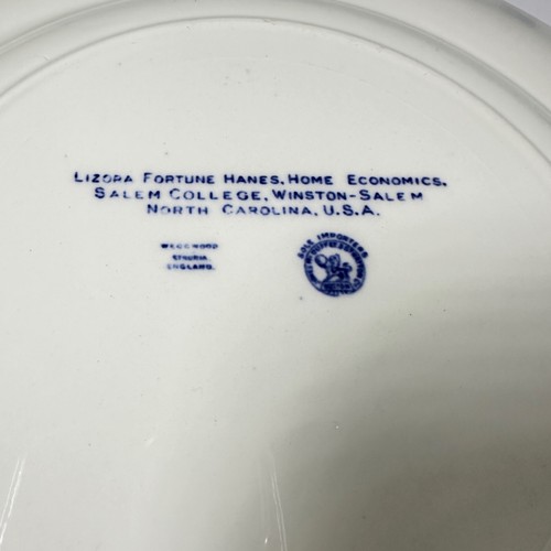 Salem College Blue di Wedgewood, economia domestica - Foto 4 di 5