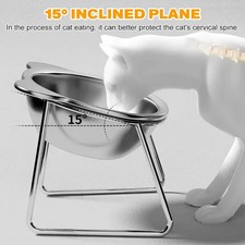 Stainless Steel Pet Bowl Slanted Anti Cervical for Cats and Dogs Dual Use Feeder