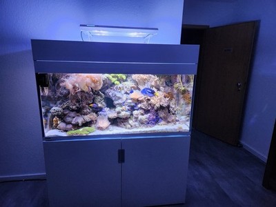 EHEIM Aquarium Inhalt Kostenlos, Becken VB