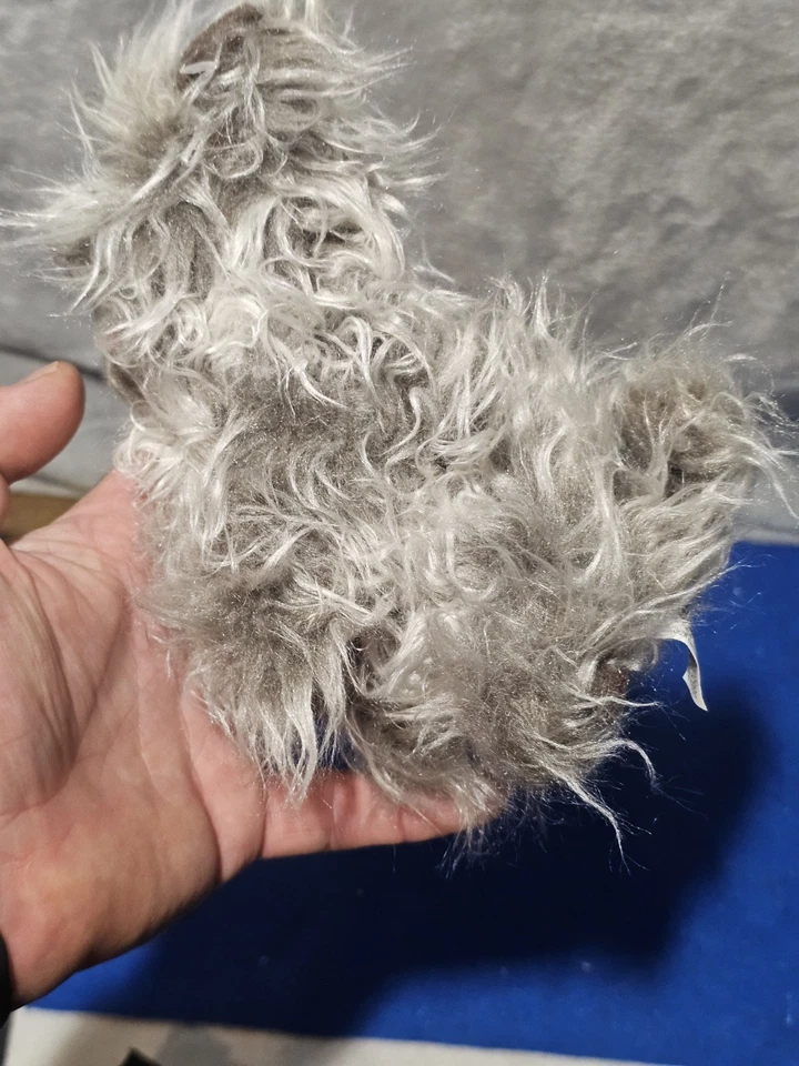 Peluche de colección TOTO perro Mago de Oz 1998 con etiqueta Shaggy Warner Bros Studio Store Foto 2 de 4