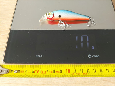 Wobbler Strike Pro für Zander 