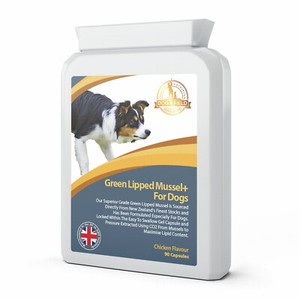 lipped mussel capsules supplement cats dogs joint dog care natural supplements