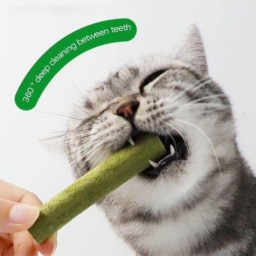 10-100x Cat Grass Sticks Pet Snacks Cat Food For Cats Ages All of Clean US N0L2 - Picture 15 of 26