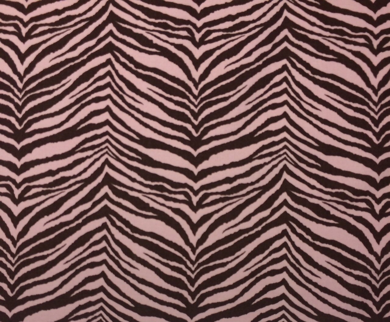 Foto 1 di 5