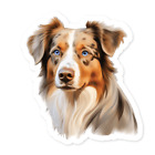 Australian Shepherd Dog Vinyl Sticker, Water Resistant, Laptop, Blue Eyes