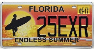 99 CENT SALE 2017 Florida ENDLESS SUMMER License Plate #25EXR No Reserve