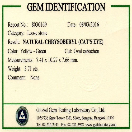 5.71 ct - BEST GRADE NATURAL CHRYSO BERYL CAT'S EYE Oval CAB'S 6350 W - Image 3 of 3