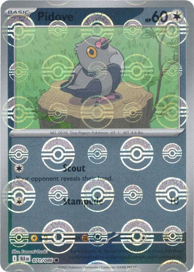 Pokemon Pidove (71/329) Black Bolt NM REVERSE HOLO- Poke Ball Pattern
