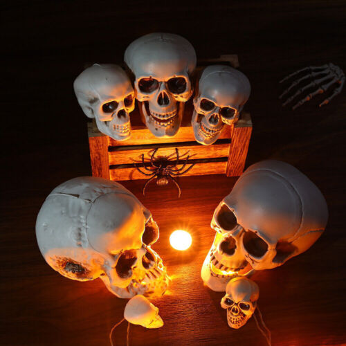 Human Skull Replica Resin Model Medical Realistic Life Size 1:1 Skeleton Decor - Picture 3 of 10