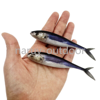atlantic mackerel fishing lures Mack Attack Soft Swimbait This bait can even be slow Jacita - The LIVETARGET Lures