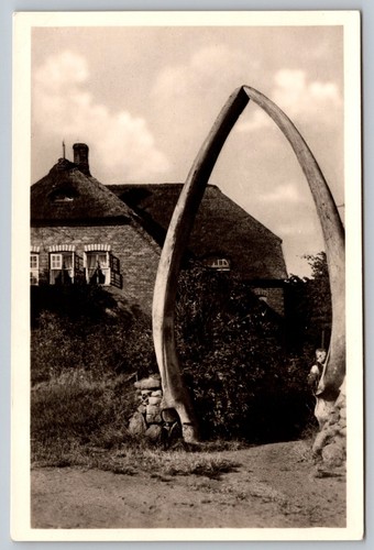 RPPC Whale Jawbone Dr Carl-Häberlin Friesen Museum Postcard - C12
