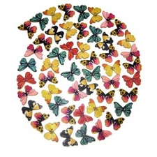 100pc 2 Hole Mixed Wooden Butterfly  Buttons Sewing  Clothes Knitting Needles Cr