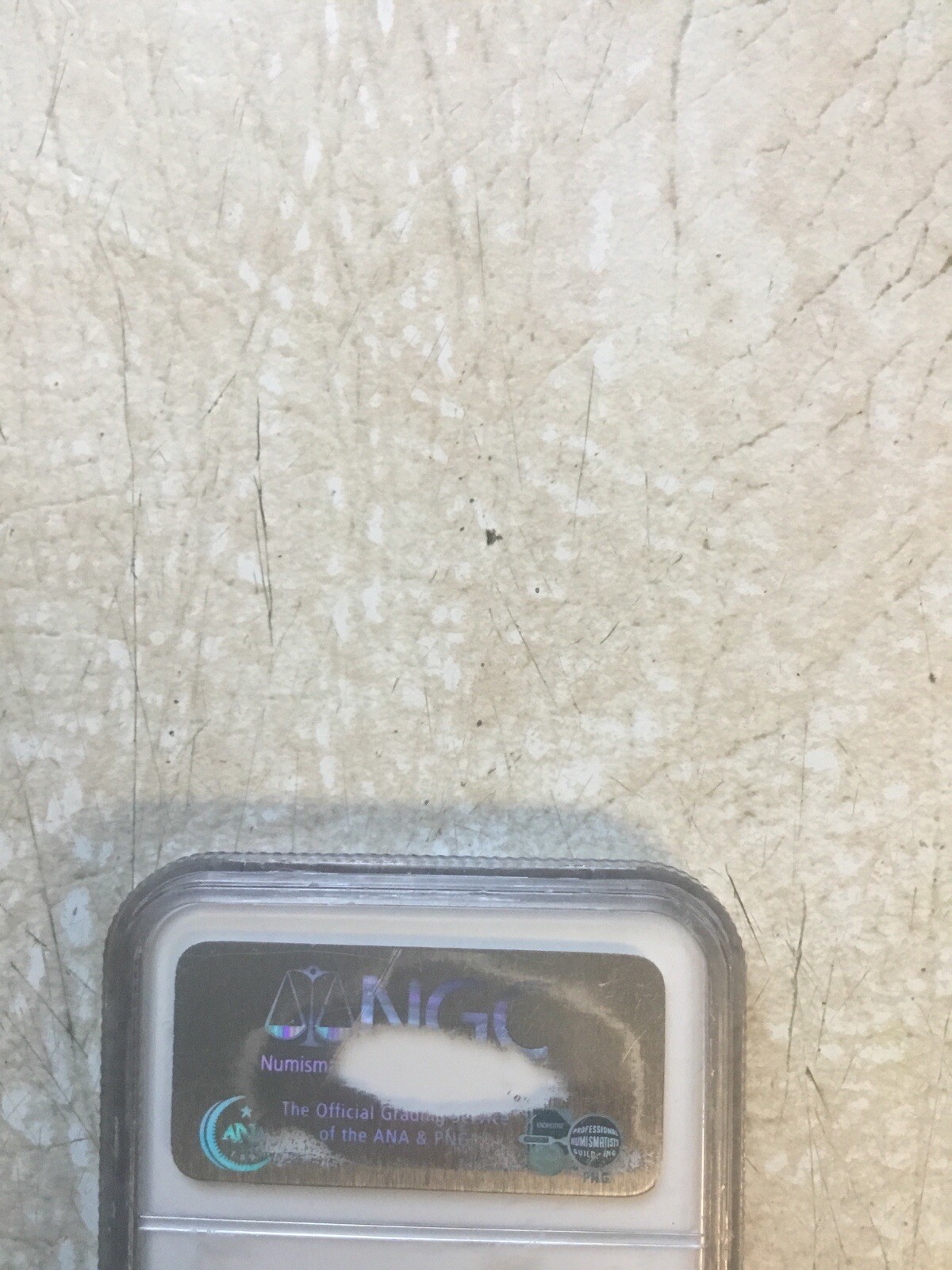 Picture 6 of 6