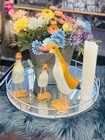 Foto 14 di 24