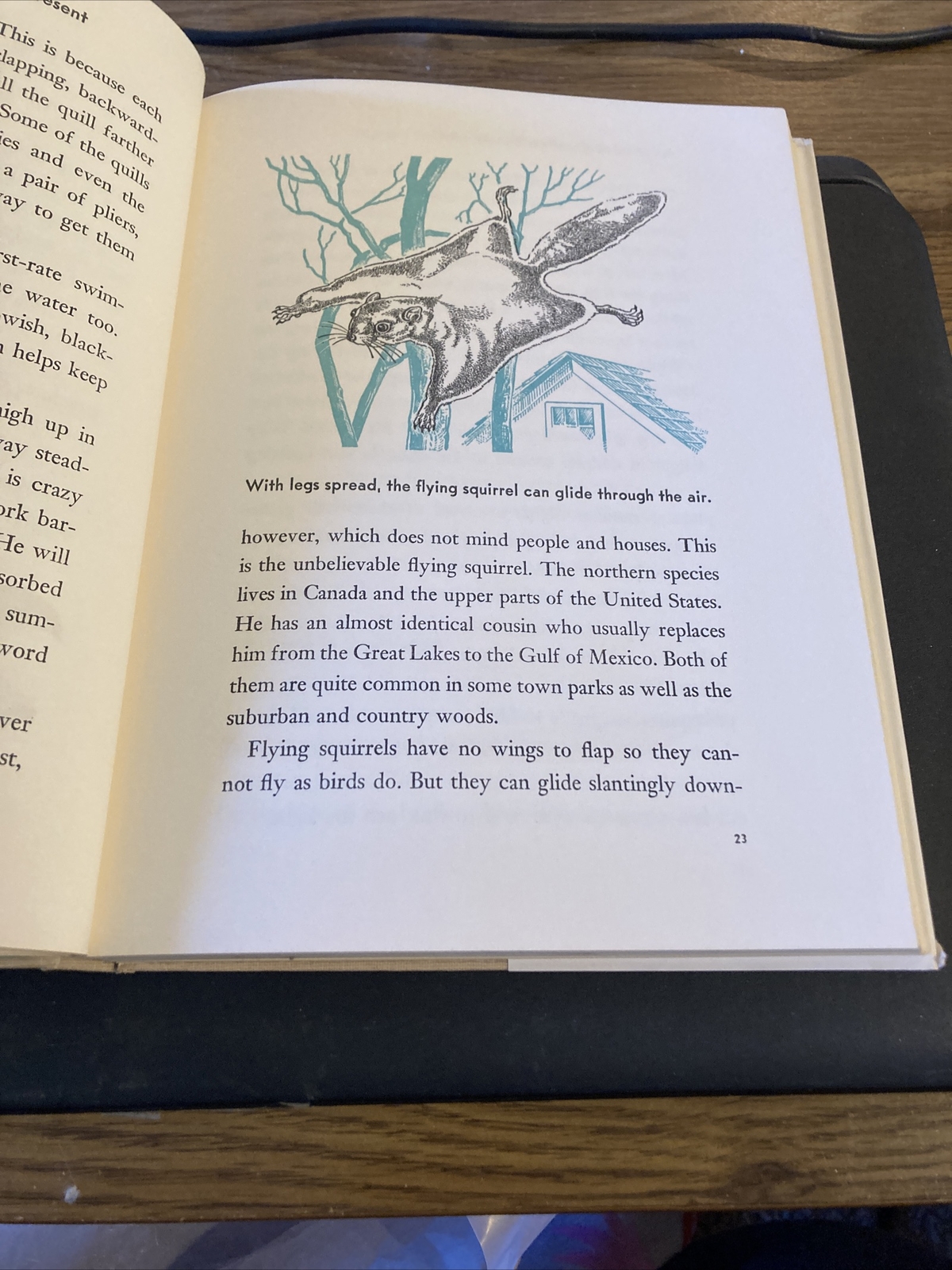 All About Strange Beasts of the Present,Robert Lemmon 1957 HC DJ Random House 