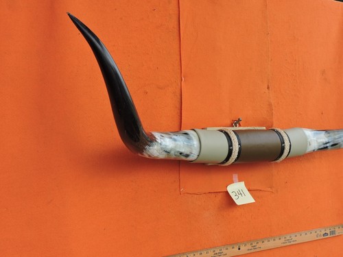 MOUNTED STEER BULL HORNS 4' 3" tip to tip #341 COW BULL HORN LONGHORN - Picture 3 of 8