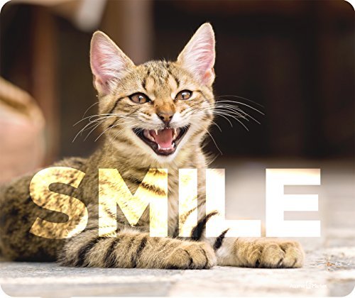 Smile Crazy Cat Mouse Pad - Picture 1 of 1