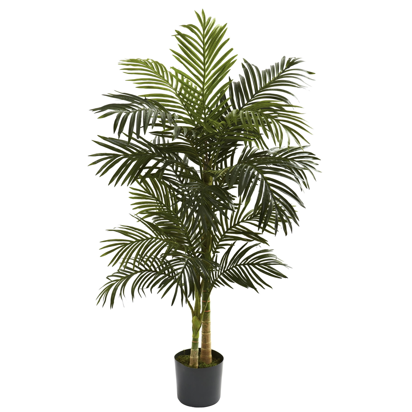 5' Golden Cane Palm Artificial Tree, Green