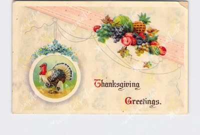 PPC Postcard Thanksgiving Greetings Turkey Flowers Grapes Pineapple Watermelon