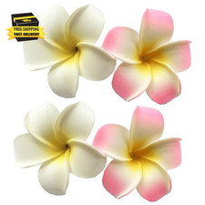 4 Pcs 7Cm White and Pink Hawaiian Frangipani Plumeria Foam Head Flower Party Bea